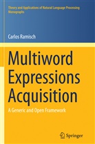 Carlos Ramisch - Multiword Expressions Acquisition