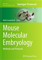 Mar Lewandoski, Mark Lewandoski - Mouse Molecular Embryology