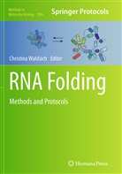 Christin Waldsich, Christina Waldsich - RNA Folding