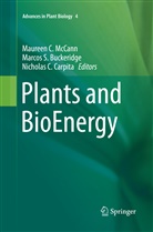 Marcos Buckeridge, Marcos S. Buckeridge, Nicholas C Carpita, Nicholas C. Carpita, Nick Carpita, Maureen McCann... - Plants and BioEnergy