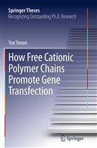 Yue Yanan - How Free Cationic Polymer Chains Promote Gene Transfection