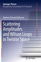 Mathew Richard Bullimore - Scattering Amplitudes and Wilson Loops in Twistor Space