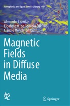 Elisabete M. de Gouveia Dal Pino, Alexander Lazarian, Elisabet M de Gouveia Dal Pino, Elisabete M de Gouveia Dal Pino, Claudio Melioli - Magnetic Fields in Diffuse Media