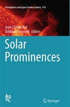 Engvold, Engvold, Oddbjorn Engvold, Oddbjørn Engvold, Jean-Claud Vial, Jean-Claude Vial - Solar Prominences