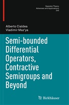 Albert Cialdea, Alberto Cialdea, Vladimir Maz'ya - Semi-bounded Differential Operators, Contractive Semigroups and Beyond