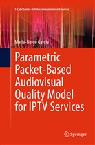 Marie-Neige Garcia - Parametric Packet-based Audiovisual Quality Model for IPTV services