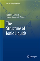 Rugger Caminiti, Ruggero Caminiti, Gontrani, Gontrani, Lorenzo Gontrani - The Structure of Ionic Liquids