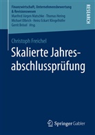 Christoph Freichel - Skalierte Jahresabschlussprüfung