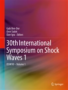 Gabi Ben-Dor, Ozer Igra, Ore Sadot, Oren Sadot - 30th International Symposium on Shock Waves 1