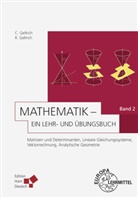 Carste Gellrich, Carsten Gellrich, Regina Gellrich - Mathematik - Ein Lehr- und Übungsbuch - 2: Matrizen und Determinanten, Lineare Gleichungssysteme, Vektorrechnung, Analytische Geometrie