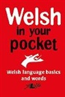 Y Lolfa - Welsh in Your Pocket