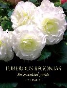 Jack Larter, Larter Jack - Tuberous Begonias