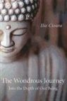 Ilie Cioara, Cioara Ilie - Wondrous Journey, The – Into the Depth of Our Being
