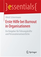 Ulrich Scherrmann - Erste Hilfe bei Burnout in Organisationen