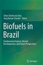 Anuj Kumar Chandel, Silvio Silv¿o da Silva, Silvio Silverio da Silva, Silvio Silvério Da Silva, Kumar Chandel, Kumar Chandel... - Biofuels in Brazil