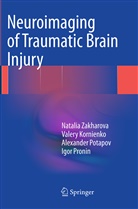 Valer Kornienko, Valery Kornienko, Alex Potapov, Alexander Potapov, Igor Pronin, Natali Zakharova... - Neuroimaging of Traumatic Brain Injury