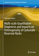 Fadi Henri Nader - Multi-scale Quantitative Diagenesis and Impacts on Heterogeneity of Carbonate Reservoir Rocks