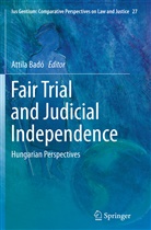 Attil Badó, Attila Badó - Fair Trial and Judicial Independence