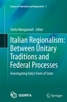 Steli Mangiameli, Stelio Mangiameli - Italian Regionalism: Between Unitary Traditions and Federal Processes