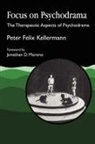 Peter Felix Kellerman, Peter Felix Kellermann, Jonathan D. Moreno - Focus on Psychodrama