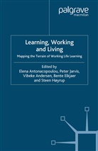Vibeke Andersen, Elen Antonacopoulou, Elena Antonacopoulou, V. Andersen, Vibeke Andersen, E. Antonacopoulou... - Learning, Working and Living