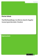Florian Schulz - Nachbehandlung von Beton durch Zugabe wasserspeichernder Zusätze