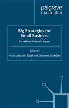 H. Gogl, Gögl, H Gögl, H. Gögl, Schedler, Schedler... - Big Strategies for Small Business