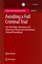 Koen Vriend - Avoiding a Full Criminal Trial
