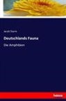 Jacob Sturm - Deutschlands Fauna