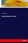 Jacob Sturm - Deutschlands Fauna