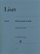 Franz Liszt, Ernst Herttrich - Franz Liszt - Klaviersonate h-moll