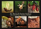 Jochen Weber - Zu Besuch beim Kakao