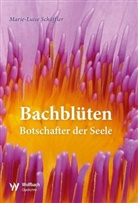 Marie-Luise Schäffler - Bachblüten