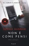 Sophie Hannah - Non è come pensi