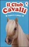 Sylvie Baussier, Olivier Rabouan, L. Pellisier - Finalmente al galoppo! Il club dei cavalli