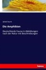 Jakob Sturm - Die Amphibien