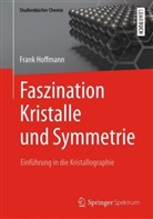 Frank Hoffmann - Faszination Kristalle und Symmetrie