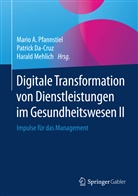 Patric Da-Cruz, Patrick Da-Cruz, Harald Mehlich, Mario A. Pfannstiel - Digitale Transformation von Dienstleistungen im Gesundheitswesen II. Bd.2