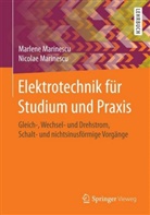 Marlen Marinescu, Marlene Marinescu, Nicolae Marinescu - Elektrotechnik für Studium und Praxis