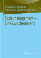 Agnè Fritze, Agnès Fritze, Thomas Prinz, Thomas Prinz u a, Gotthart Schwarz, Armin Wöhrle - Sozialmanagement - Eine Zwischenbilanz