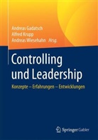 Andreas Gadatsch, Alfre Krupp, Alfred Krupp, Andreas Wiesehahn - Controlling und Leadership