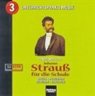 Christine Gürtelschmied, Renate Kern, Walter Kern - Johann Strauß für die Schule. AudioCD (Audiolibro)