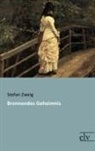 Stefan Zweig - Brennendes Geheimnis