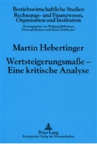 Martin Hebertinger, Wolfgang Ballwieser - Wertsteigerungsmaße - Eine kritische Analyse