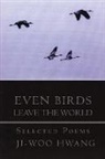Ji-Woo Hwang - Even Birds Leave the World