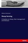 William Sutherland - Sheep farming