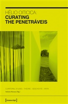 Helio Oiticica, Stefani Heraeus, Stefanie Heraeus - Hélio Oiticica: Curating the Penetráveis