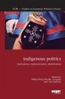Mikkel Berg-Nordlie, Jo Saglie, Ann Sullivan - Indigenous Politics
