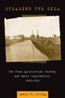 David H Dejong, David H. Dejong - Stealing the Gila