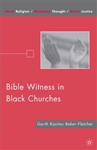 G Baker-Fletcher, G. Baker-Fletcher - Bible Witness in Black Churches
